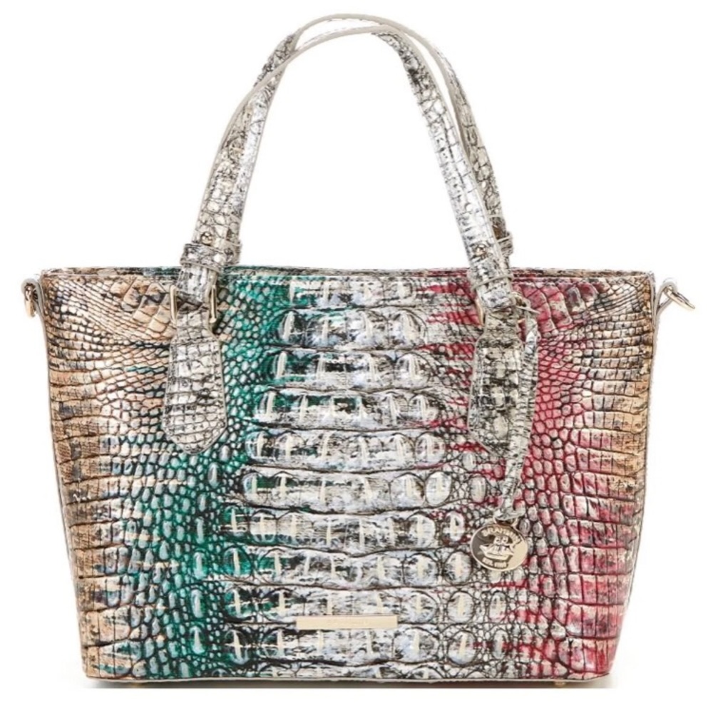 BRAHMIN Mini Mishsa Carnival Ombre Melbourne